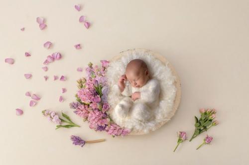 Minneapolis Baby Photographer Portfolio